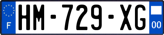 HM-729-XG