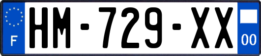 HM-729-XX