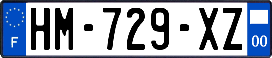HM-729-XZ