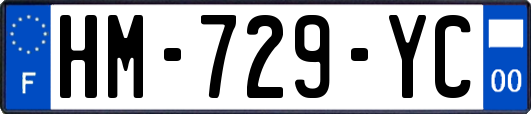 HM-729-YC