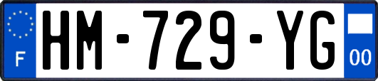 HM-729-YG