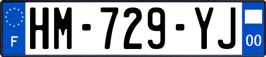 HM-729-YJ