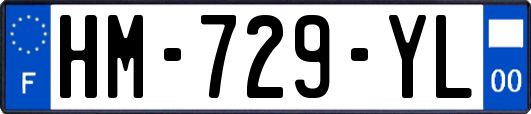 HM-729-YL