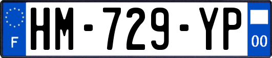 HM-729-YP