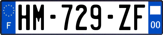 HM-729-ZF