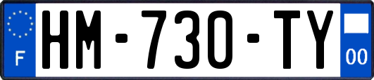 HM-730-TY