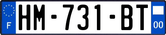 HM-731-BT