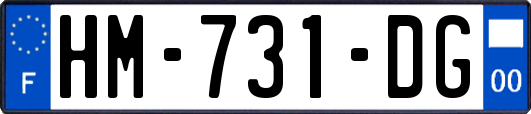 HM-731-DG