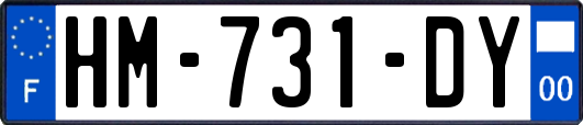 HM-731-DY
