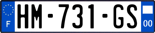 HM-731-GS