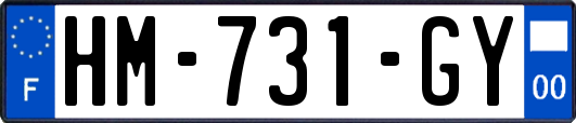 HM-731-GY