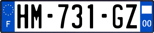 HM-731-GZ