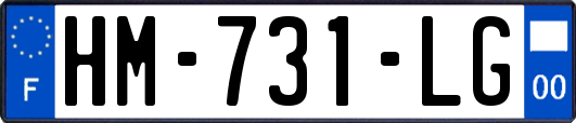 HM-731-LG