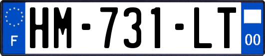 HM-731-LT