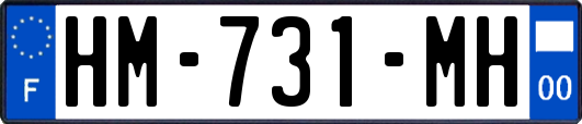 HM-731-MH