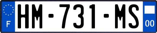HM-731-MS
