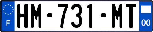HM-731-MT