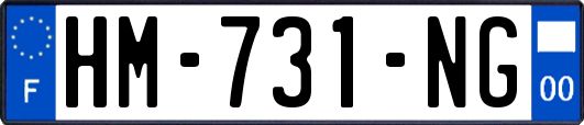 HM-731-NG