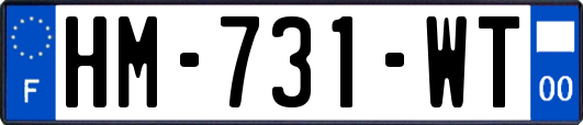 HM-731-WT