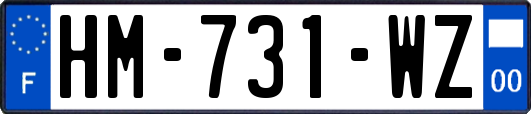 HM-731-WZ