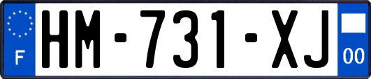 HM-731-XJ