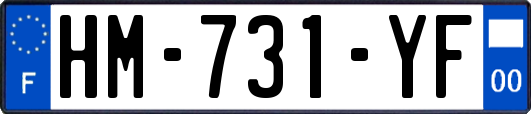 HM-731-YF