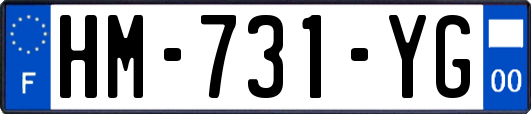 HM-731-YG