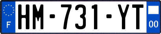 HM-731-YT