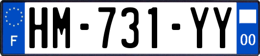 HM-731-YY