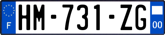 HM-731-ZG