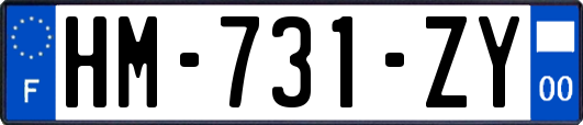 HM-731-ZY