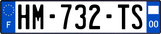 HM-732-TS