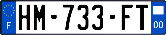 HM-733-FT
