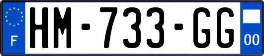 HM-733-GG