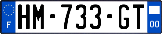 HM-733-GT