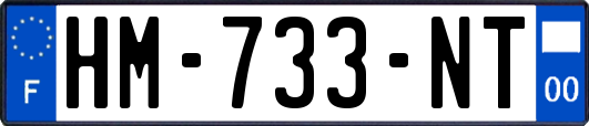 HM-733-NT