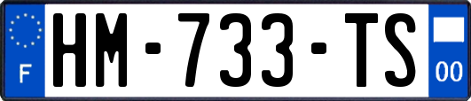 HM-733-TS
