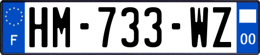 HM-733-WZ