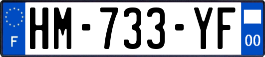 HM-733-YF