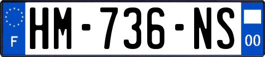 HM-736-NS