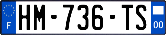 HM-736-TS