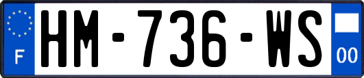 HM-736-WS