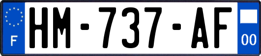 HM-737-AF