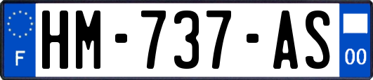 HM-737-AS