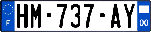 HM-737-AY