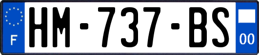 HM-737-BS