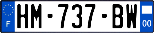 HM-737-BW