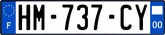 HM-737-CY