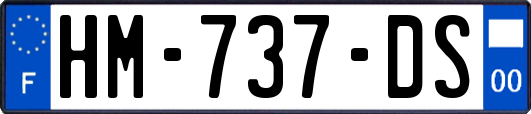 HM-737-DS
