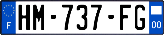 HM-737-FG